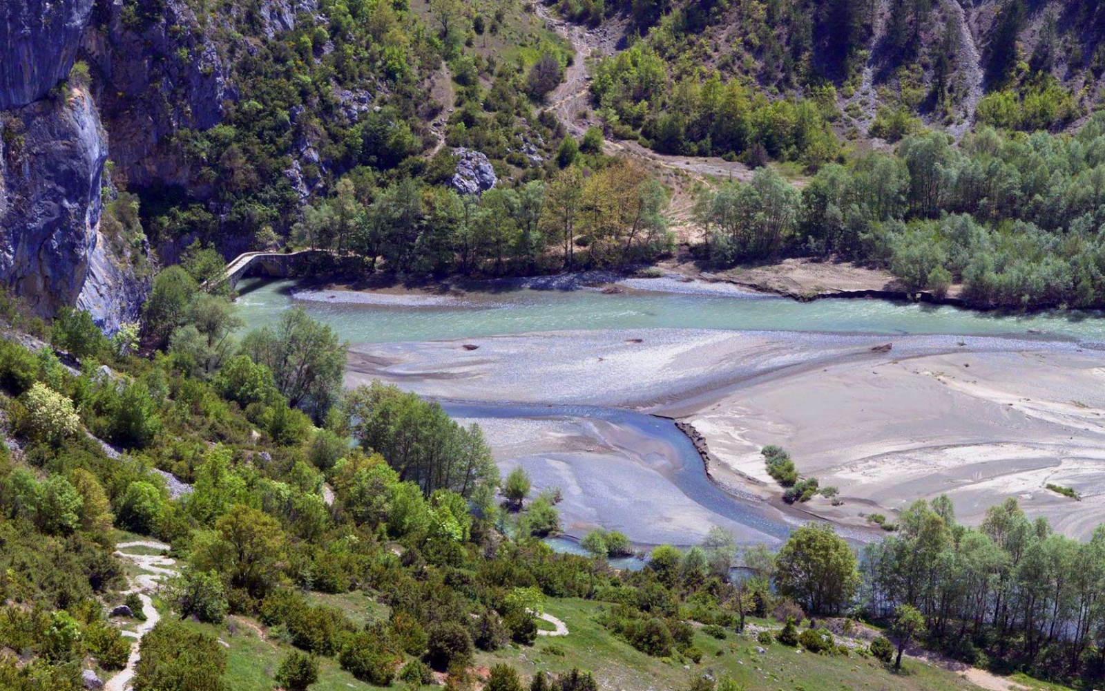 Arkoudorema