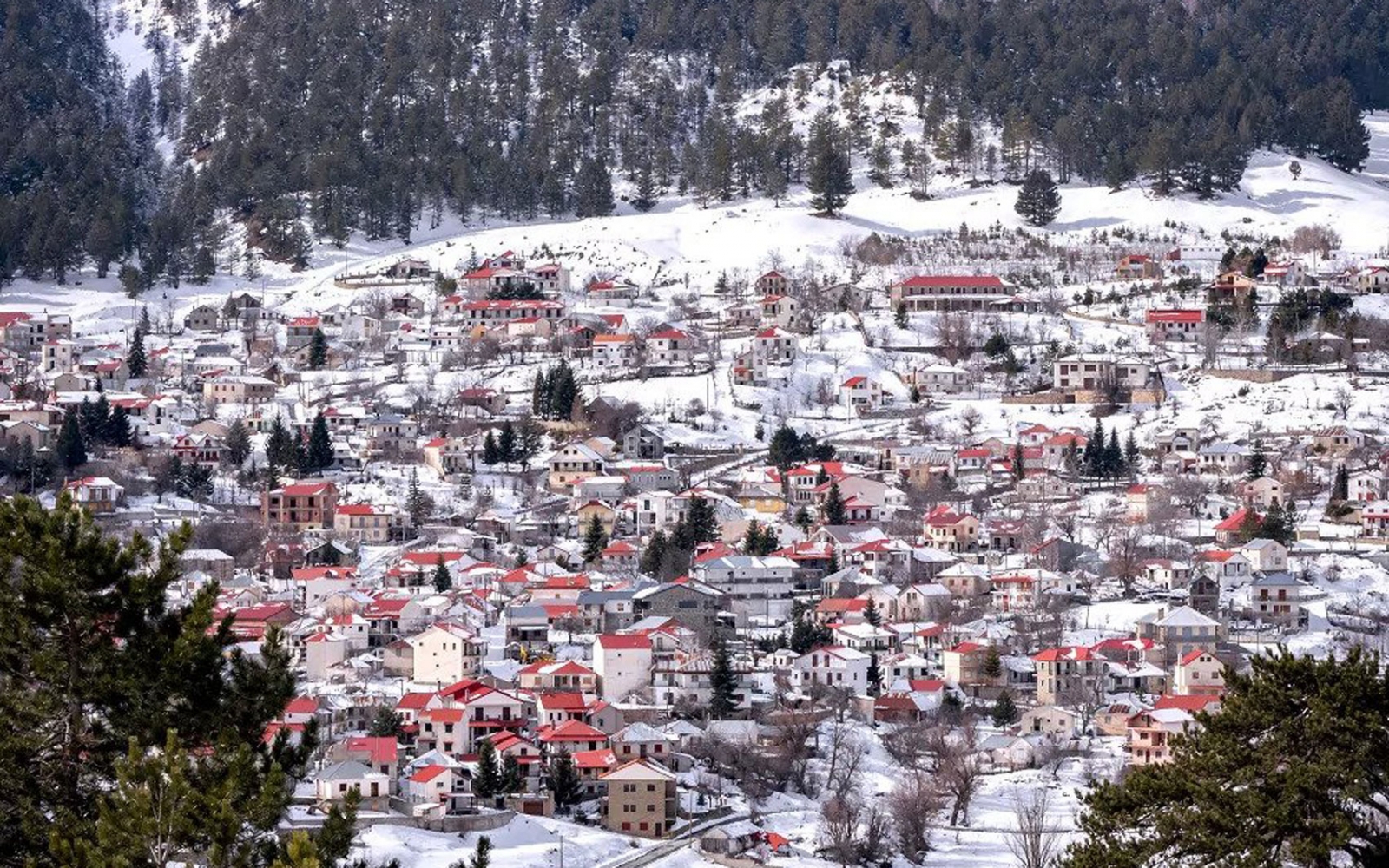 Grevena