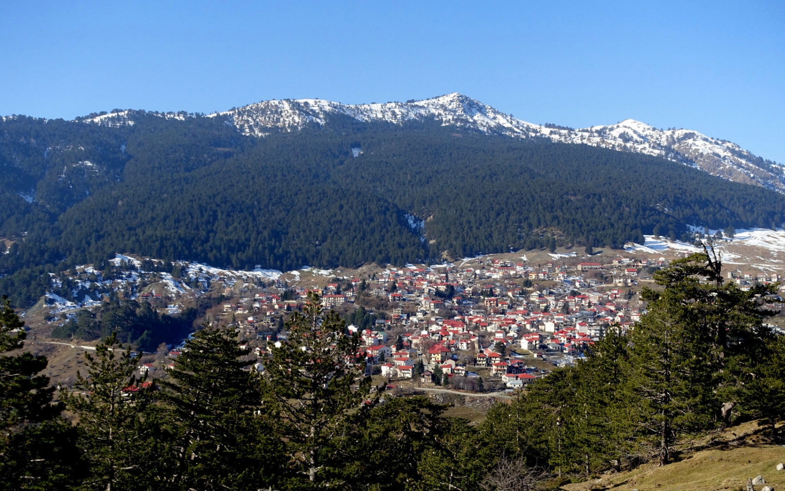 Samarina